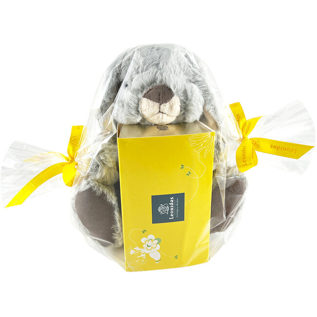 Easter Rabbit (20 cm) and 375g Easter Eggs