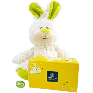 Lapin en peluche (25 cm) + 500g petits Oeufs de Pâques