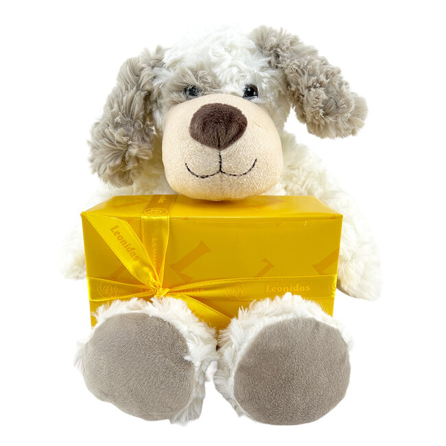 Leonidas 300g chocolates and Teddy bear Bobby (20cm)