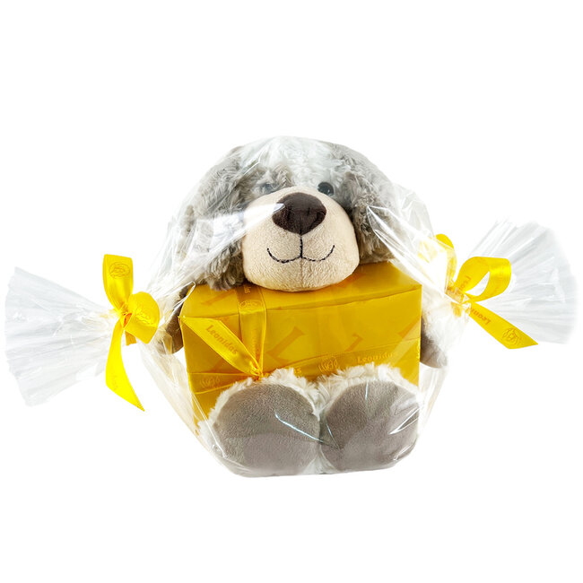 Leonidas 300g Pralinen und Teddybär Bobby (20cm)