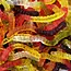 Haribo Glow worms 1kg