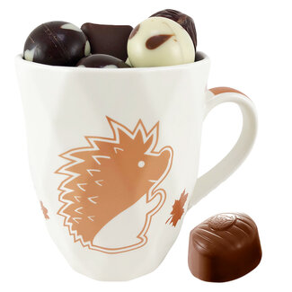 Tasse 'Hérisson' Chocolats d'Automne 250g