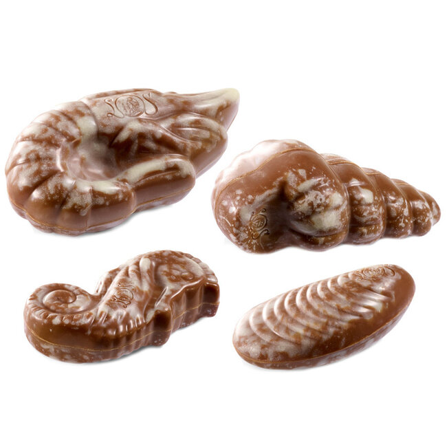 Leonidas Gift box 'Bedankt toffe meester' Seashells 300g