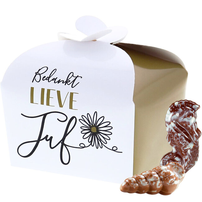 Leonidas Gift box 'Bedankt lieve Juf' Seashells 300g
