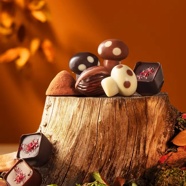 Leonidas Coffret cadeau (Automne) 20 Chocolats