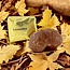 Leonidas Marron glacé