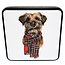 Tin box (Border Terrier) Vanilla Fudge 120g