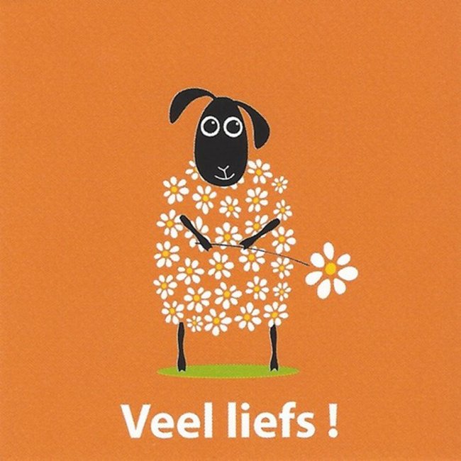 Greeting Card 'Veel liefs' (7x7cm)