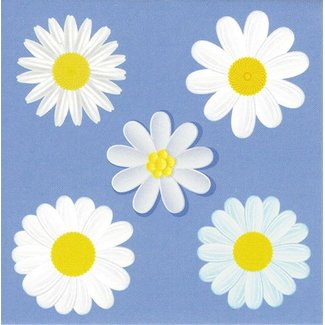 Greeting card 'Daisies' (7x7cm)