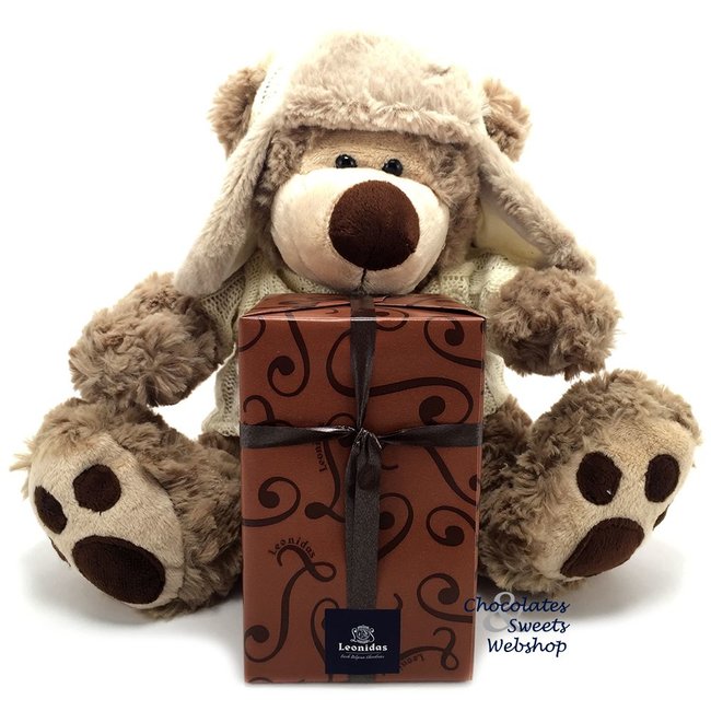 kam Nationaal wandelen 500g pralines en Teddybeer Dommel (25cm) - Leonidas Online Shop Gistel