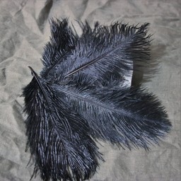 Black feather, 20-25 cm