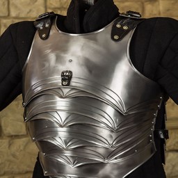 LARP armour Dragomir M