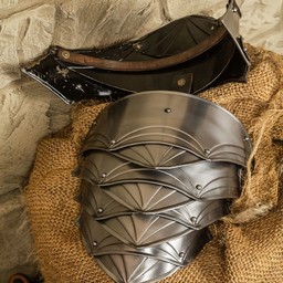 LARP armour Dragomir M