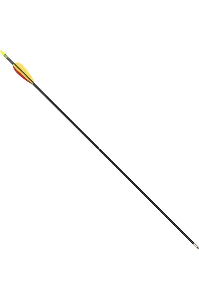 Fiberglass arrow 30