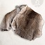 Fur collar grey