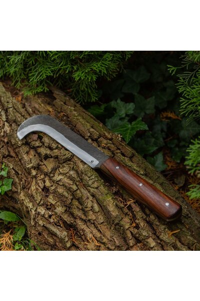 Bill hook Elaina