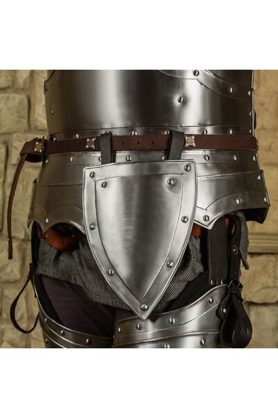 Belt shield Balthasar