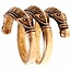 Iron Age ring Himlingoje, bronze