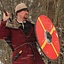 Viking shield Halfdan