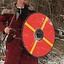 Viking shield Halfdan