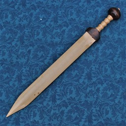 Wooden gladius