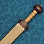 Wooden gladius