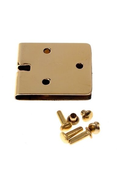 Belt plate 3 cm, bronze