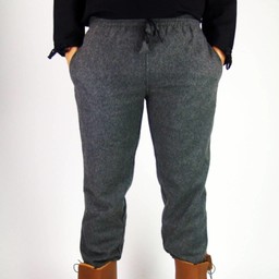 Woolen trousers, grey