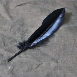 Goose feather black, 15-21 cm