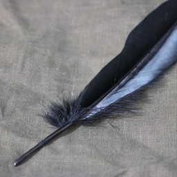 Goose feather black, 15-21 cm