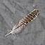 Pheasant feather, 10-18 cm