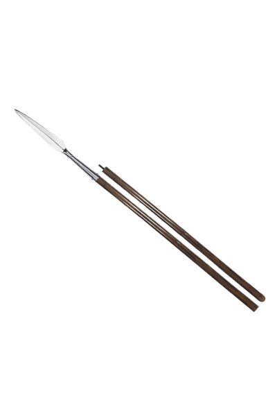 Roman hasta with shaft
