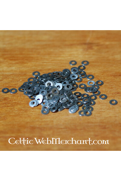 Washers, small, set of 100