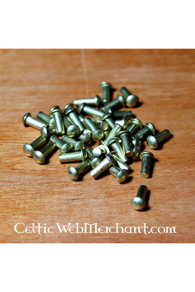 50 brass rivets 4 mm, short