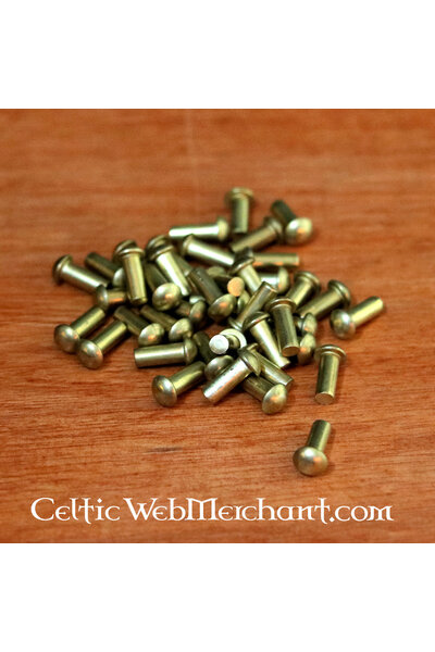 50 brass rivets 4 mm, long