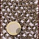 Ulfberth Hauberk, round rings, round rivets 8 mm