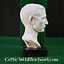 Bust Julius Caesar