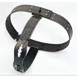 Chastity belt for women