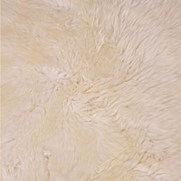 English sheepskin, ivory