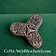 Viking brooch Tranby