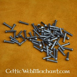 100 steel rivets 8 mm