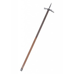 15th century pole axe