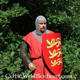 English heraldic shield