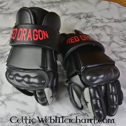 Modern fencing gloves L