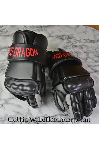 Modern fencing gloves L