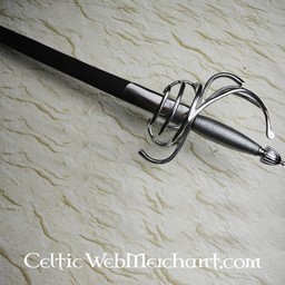 Spanish rapier