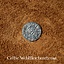 Medieval English coins