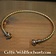 Gallic twisted torc