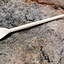 Roman spoon bone