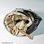 French bascinet